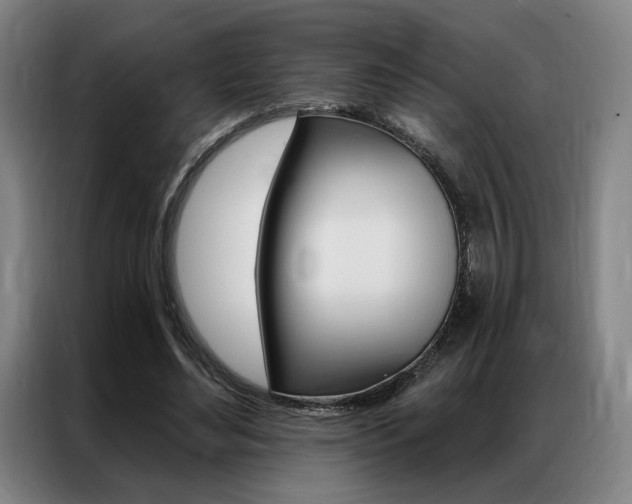 X0000087350492200704200807