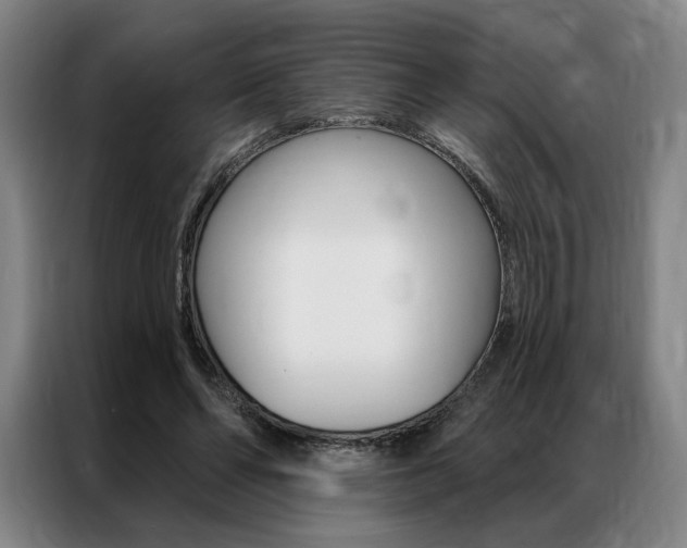 X0000087350494200704200807