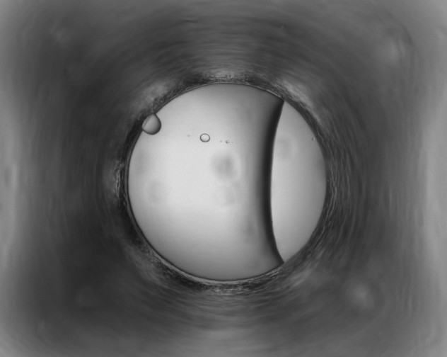 X0000087350495200704200807
