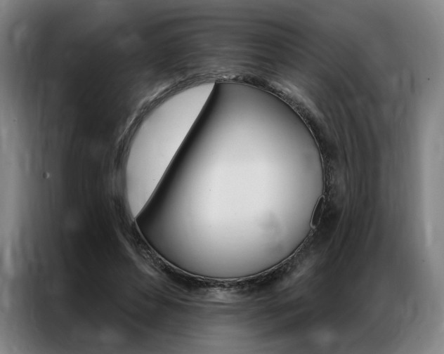 X0000087350496200704200807