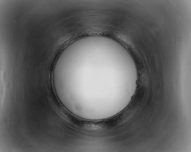 X0000087350498200704200807