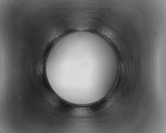 X0000087350499200704200807