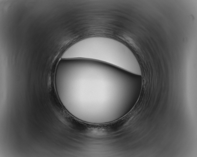 X0000087350500200704200807