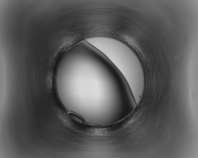 X0000087350501200704200807