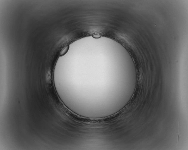 X0000087350502200704200807