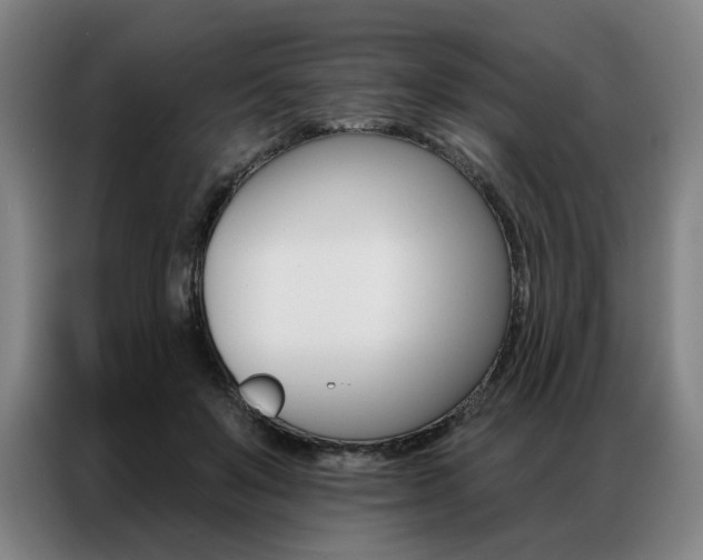 X0000087350503200704200807