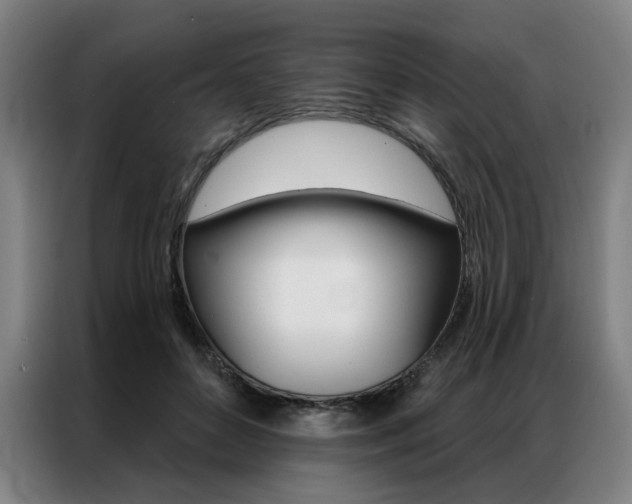 X0000087350504200704200807