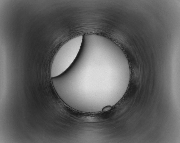 X0000087350506200704200807