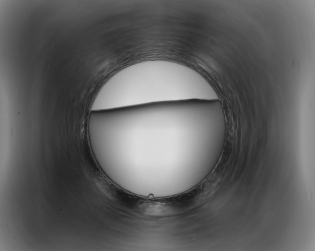 X0000087350507200704200807