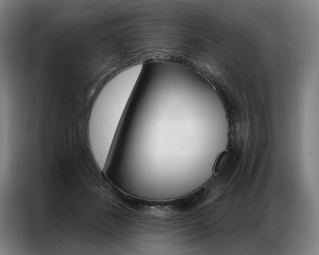 X0000087350508200704200807