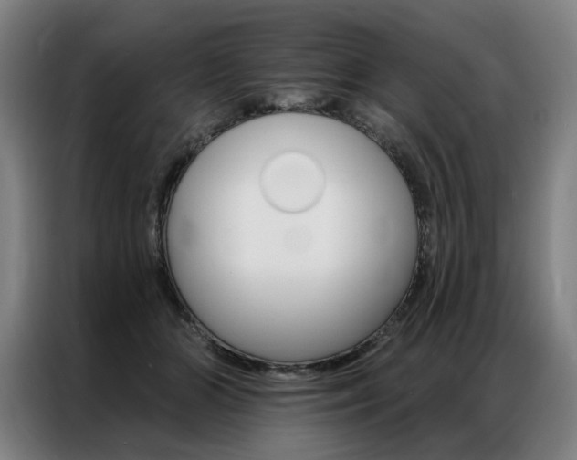 X0000087350510200704200807