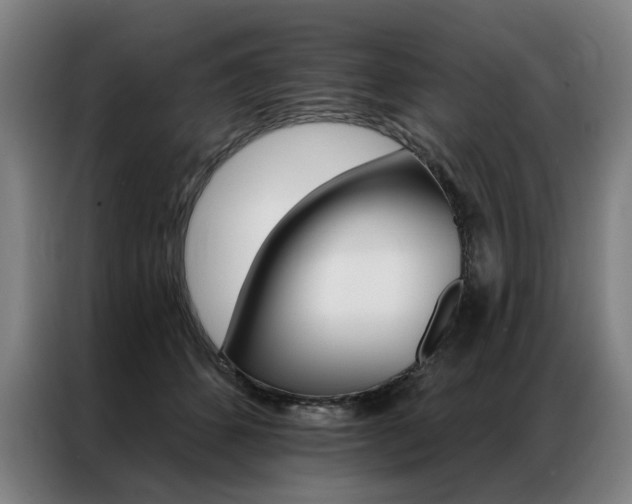 X0000087350512200704200807