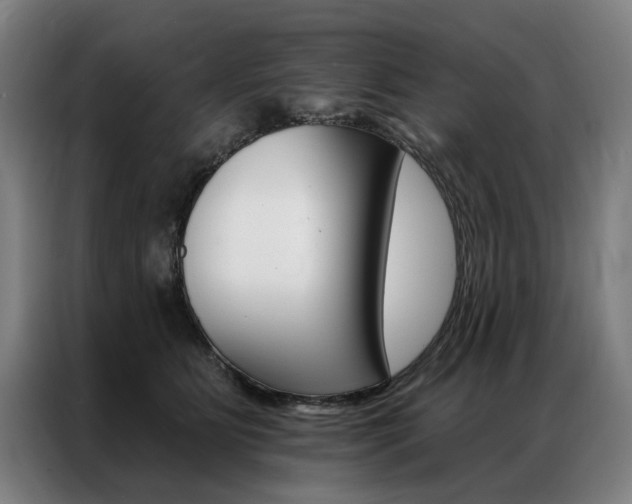 X0000087350515200704200807