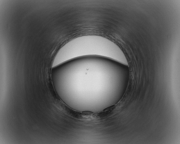 X0000087350516200704200807