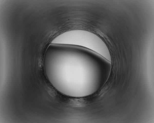 X0000087350517200704200807