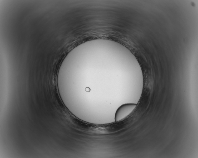 X0000087350518200704200807