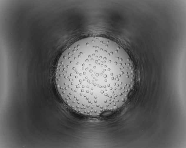 X0000087350519200704200807