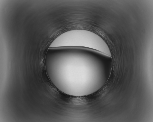 X0000087350521200704200807