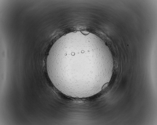 X0000087350523200704200807