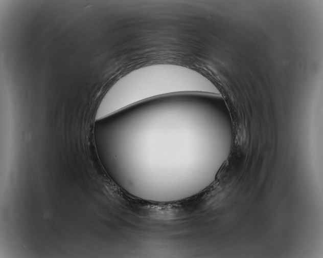 X0000087350524200704200807