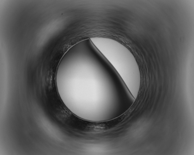 X0000087350525200704200807