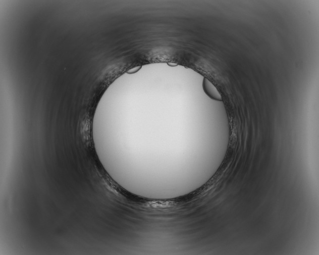 X0000087350526200704200807