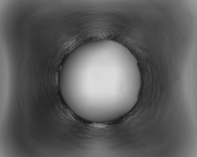 X0000087350528200704200807