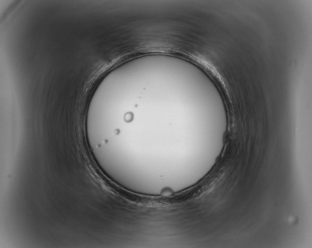 X0000087350529200704200806