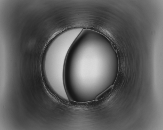 X0000087350530200704200806