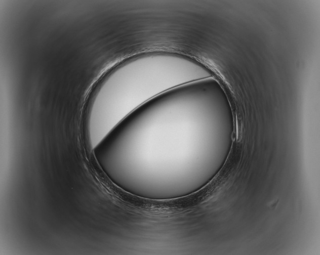 X0000087350531200704200806