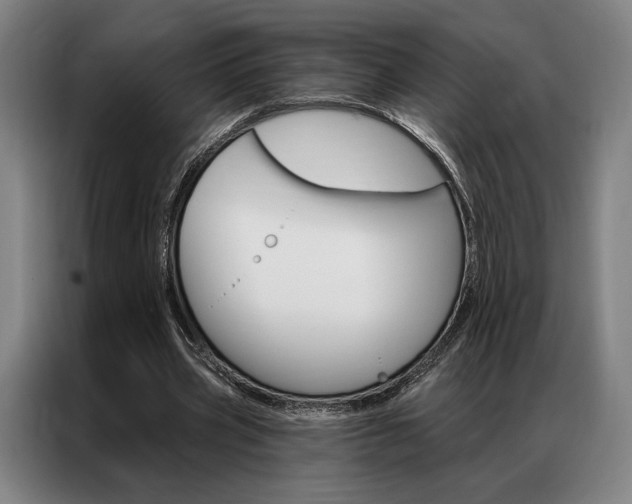 X0000087350533200704200806