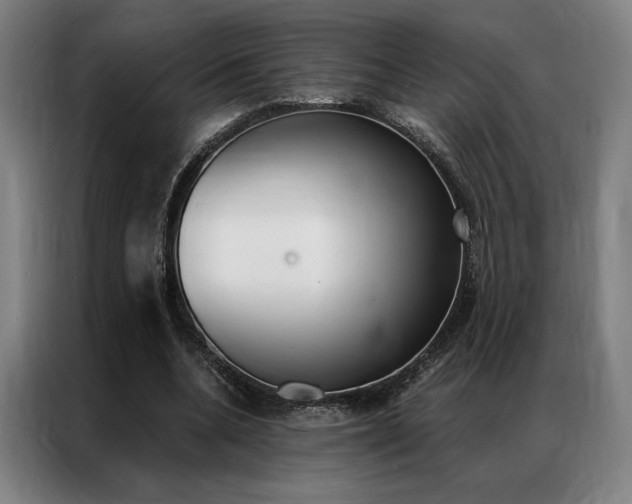 X0000087350536200704200806