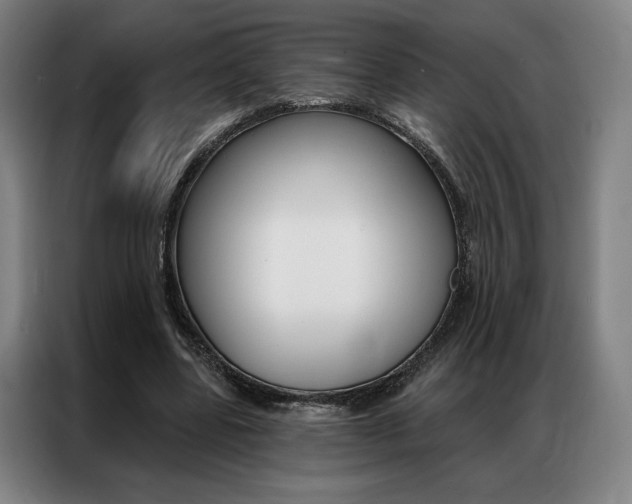 X0000087350539200704200806