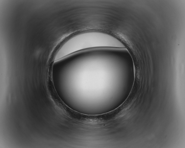 X0000087350540200704200806