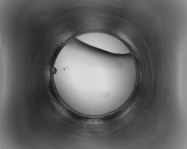 X0000087350541200704200806