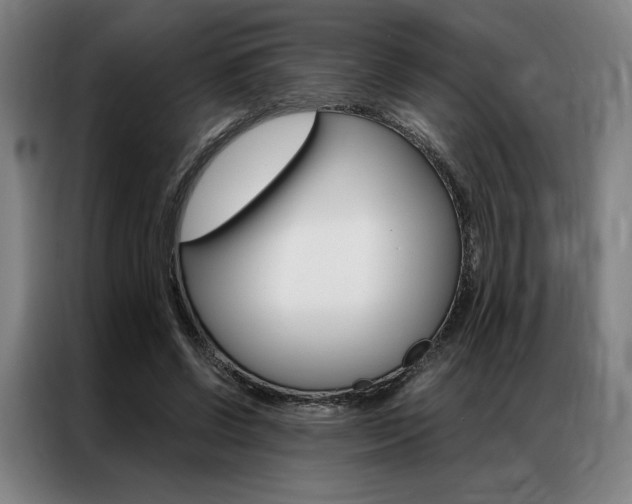 X0000087350542200704200806