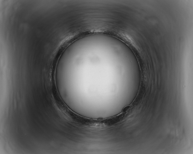 X0000087350543200704200806