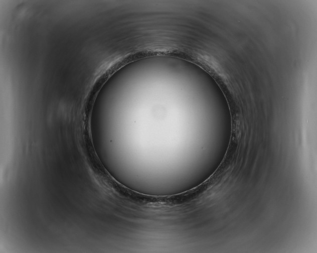 X0000087350544200704200806