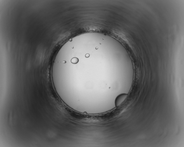 X0000087350545200704200806