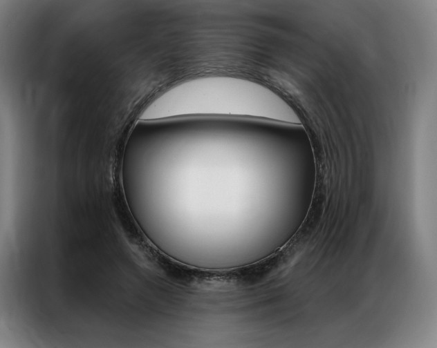 X0000087350546200704200806