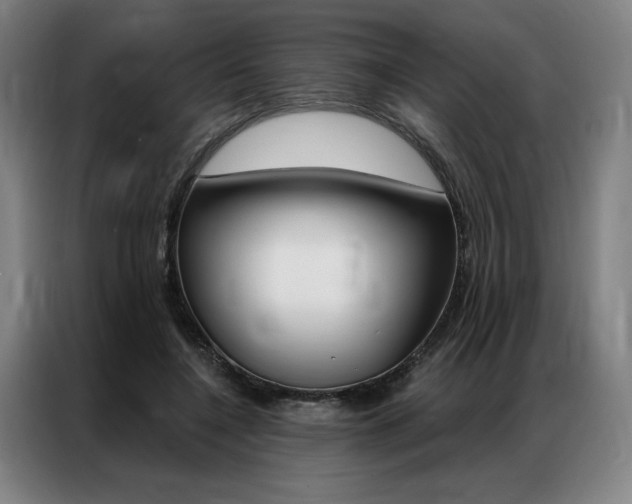 X0000087350548200704200806