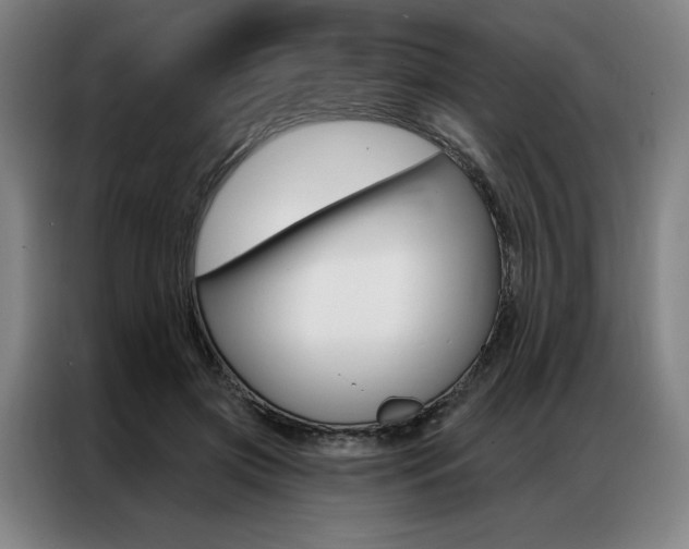 X0000087350549200704200806
