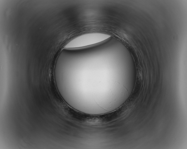 X0000087350551200704200806