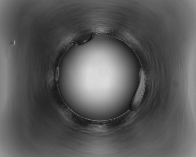 X0000087350552200704200806