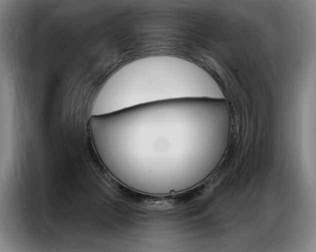 X0000087350553200704200806