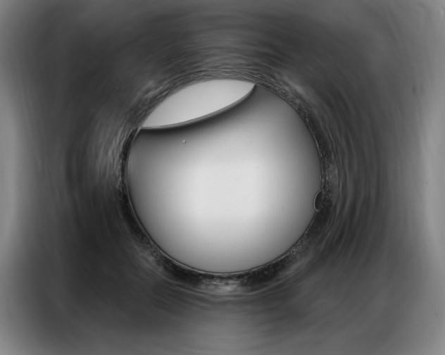 X0000087350554200704200807