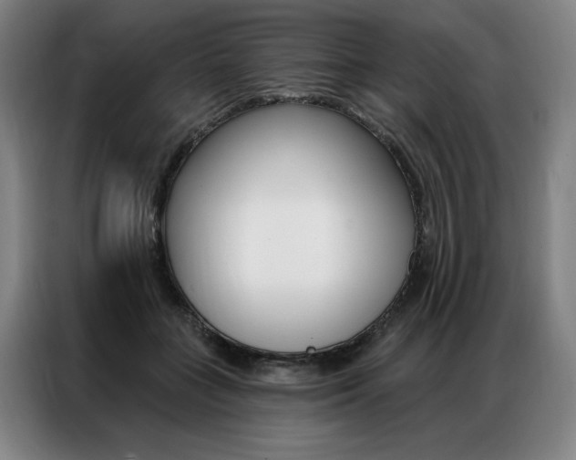 X0000087350555200704200807