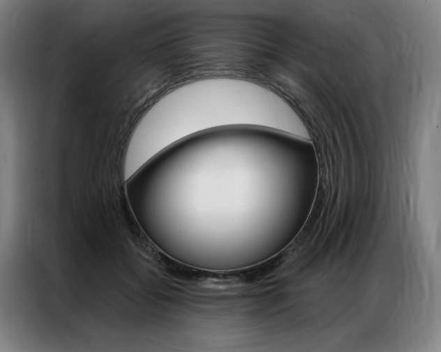 X0000087350556200704200807