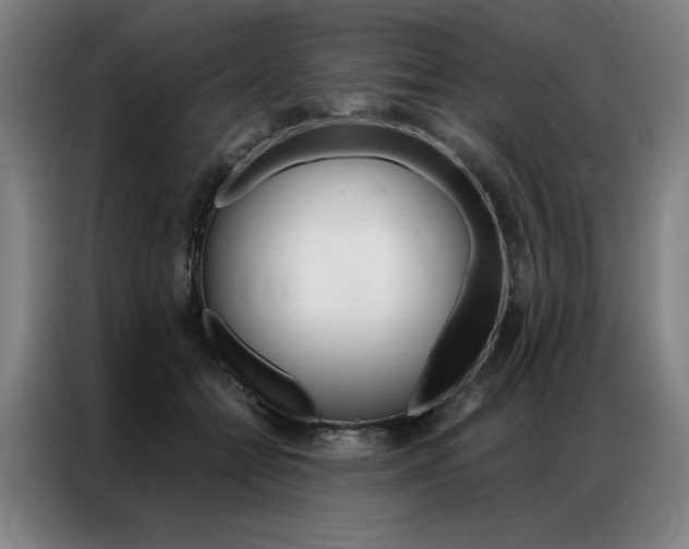 X0000087350558200704200807