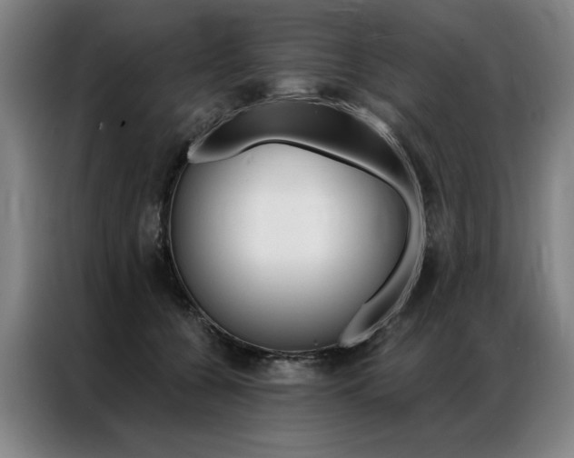 X0000087350560200704200807